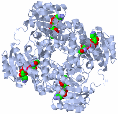 Image Biological Unit 2