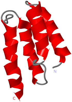 Image NMR Structure - model 1