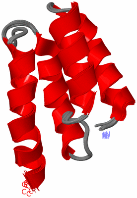 Image NMR Structure - all models