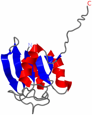 Image NMR Structure - model 1