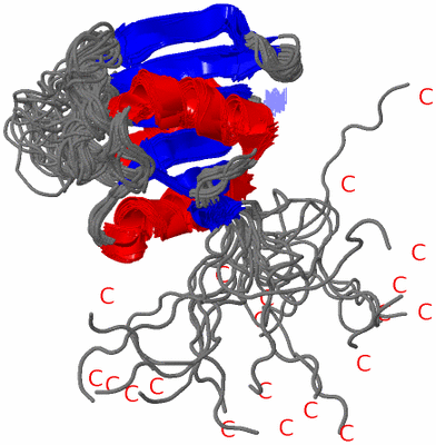 Image NMR Structure - all models