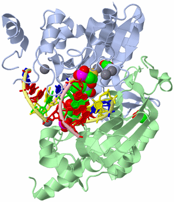 Image Asym./Biol. Unit