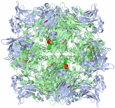 Image Biol. Unit 1 - sites