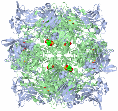 Image Biological Unit 1