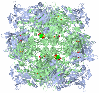 Image Biological Unit 1