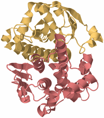 Image Biological Unit 4