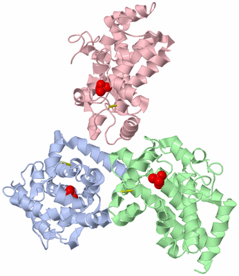 Image Asymmetric Unit