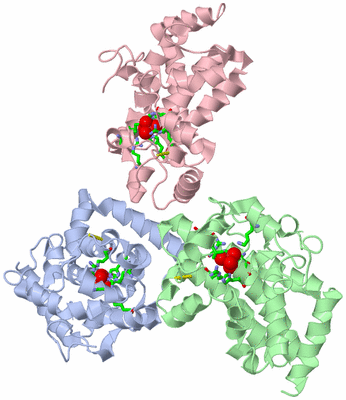 Image Asym. Unit - sites