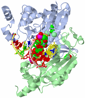 Image Asym./Biol. Unit