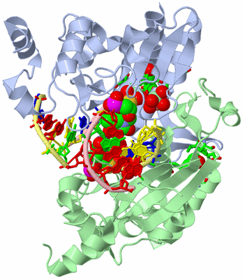 Image Asym./Biol. Unit - sites