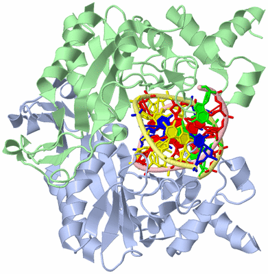 Image Asym./Biol. Unit