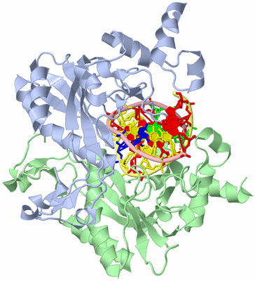 Image Asym./Biol. Unit