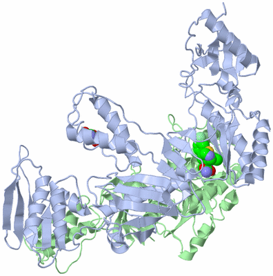 Image Asym./Biol. Unit