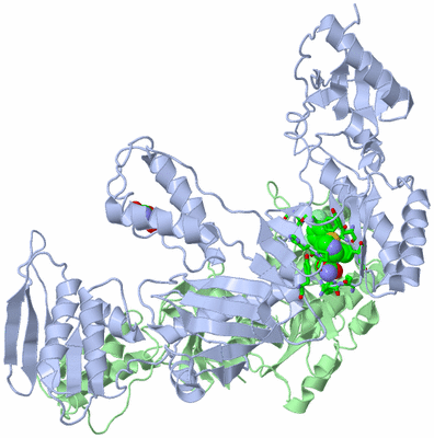 Image Asym./Biol. Unit - sites