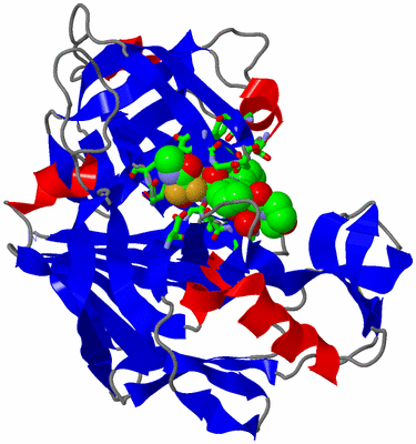 Image Asym./Biol. Unit - sites