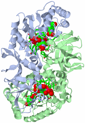 Image Asym./Biol. Unit - sites