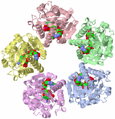 Image Biological Unit 1