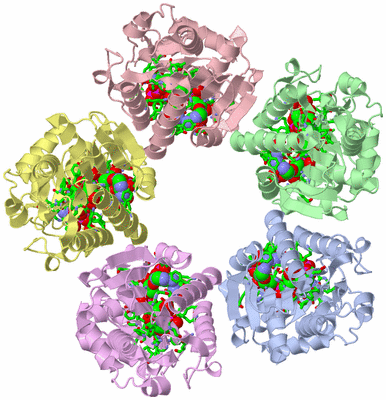 Image Biol. Unit 1 - sites