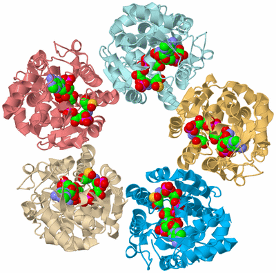 Image Biological Unit 2