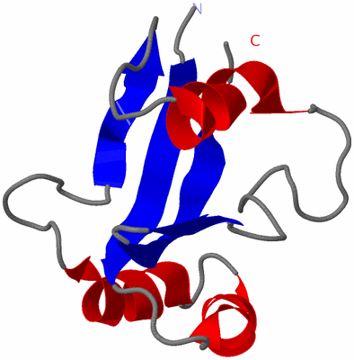 Image NMR Structure - model 1