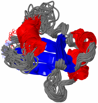 Image NMR Structure - all models