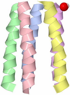 Image Asymmetric Unit