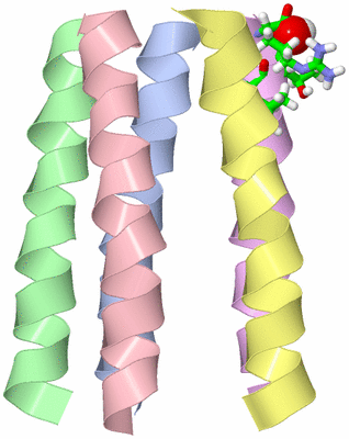 Image Asym. Unit - sites