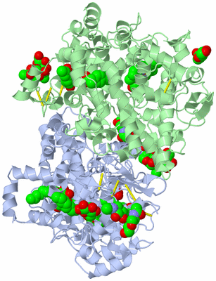 Image Asym./Biol. Unit