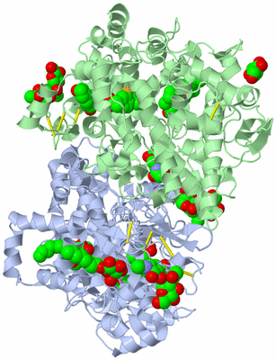 Image Asym./Biol. Unit