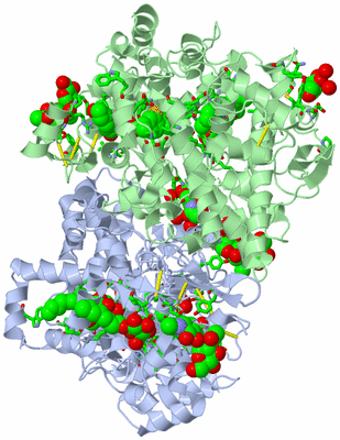 Image Asym./Biol. Unit - sites