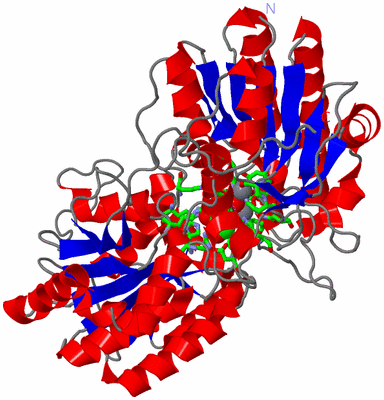 Image Asym./Biol. Unit - sites