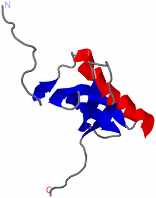 Image NMR Structure - model 1