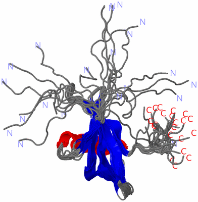 Image NMR Structure - all models