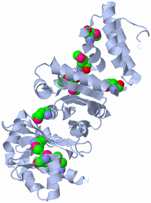 Image Biological Unit 1