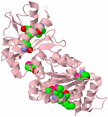 Image Biological Unit 3