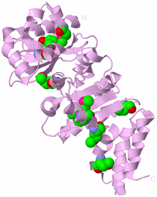 Image Biological Unit 5