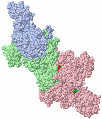 Image Biol. Unit 1 - sites