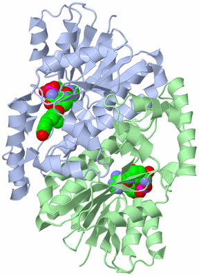 Image Asym./Biol. Unit