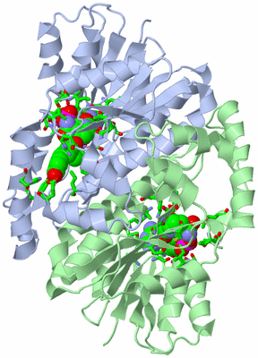 Image Asym./Biol. Unit - sites