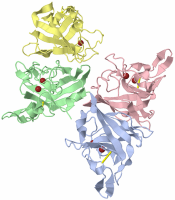 Image Asymmetric Unit