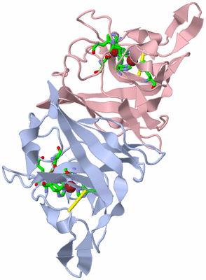 Image Biol. Unit 1 - sites