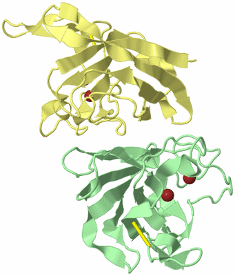 Image Biological Unit 2