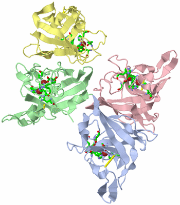 Image Asym. Unit - sites