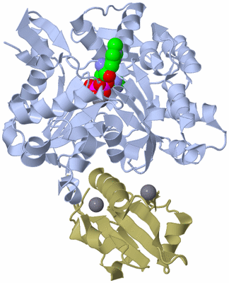 Image Asym./Biol. Unit