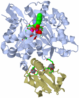 Image Asym./Biol. Unit - sites