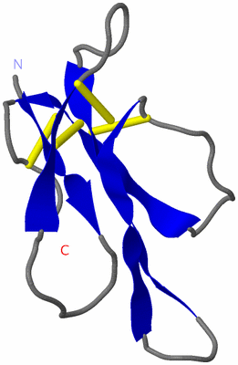 Image NMR Structure - all models