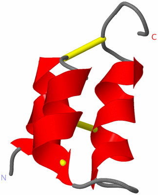 Image NMR Structure - model 1