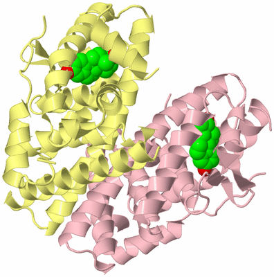 Image Biological Unit 2