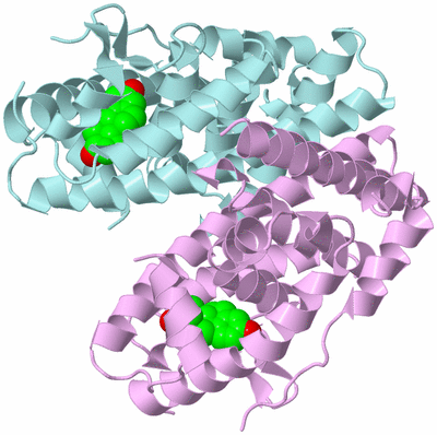 Image Biological Unit 3