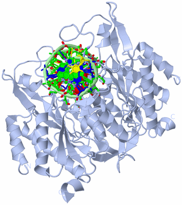 Image Biol. Unit 1 - sites